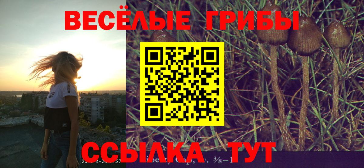 Галлюциногенные грибы Magic Shrooms Салехард